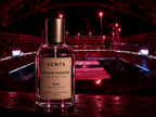 SCNTS — Origin Maroon